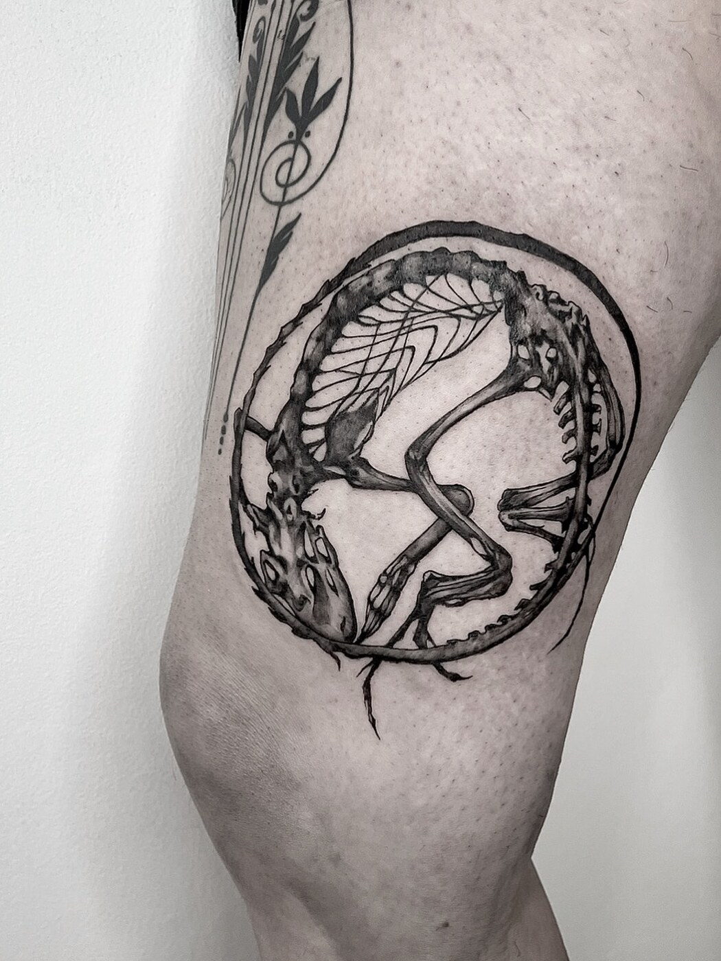 Corbeau et serpent en ouroboros, tatouage gothique
